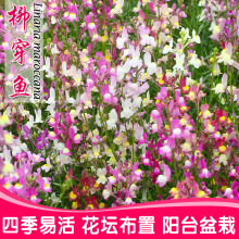 ~Nļ׷N^ܻ＾NվջͥԺN