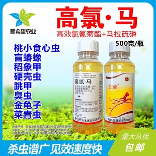 �����R�����׹�����Сʳ���x�Gä��������ư�xӲ���x�rș���x��