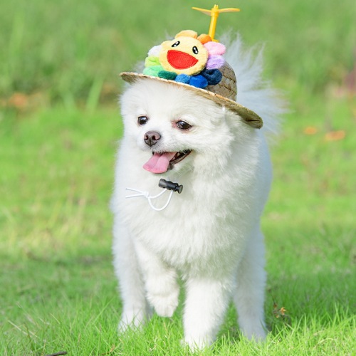 Pet Grass Hat Fashion Spring Pet Bamboo Dragonfly Hat Cat Sun Hat Medium and Large Dog Cute Photo Prop