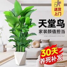 BGֲֲ͏d˴;Gֲ҃·ȩQm