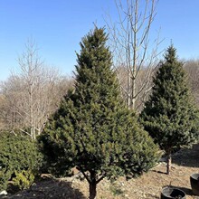 �|���ͺ� �t��ɼ�� �t��ɼ�I�B���� �t��ɼ���� Ҏ��ȫ �������