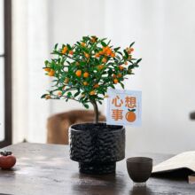 ���������Կ͏d�k���ҽ���������҃������ļ�ֲ��Gֲ�����辰