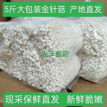 ᘹr5brᘹ߲˻ʳı߲˻ֱl