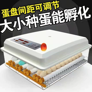 厂家直销卵化机小型鸡鸭鹅全自动家用型鹌鹑卵化器孵化小鸡