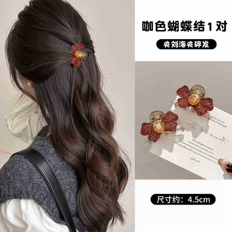 公主头小抓夹女2025新款后脑勺半扎发夹边夹侧边前额刘海夹子头饰|undefined