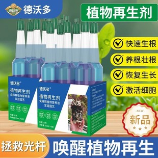 ���ֶ�ֲ��������ͨ����ֲ��ͻ�Һ��s�I�BҺ��U�Gֲ��������