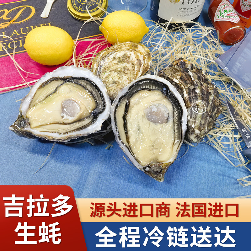 吉拉多Gillravage法国进口生蚝产地批发海鲜鲜活大量批发水产即食