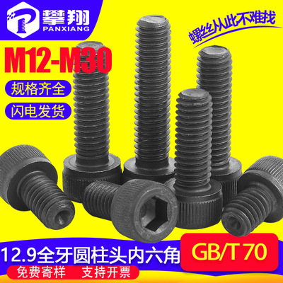 12.9级高强度圆柱头内六角加长螺丝钉杯头内六角全牙螺栓M14/M16