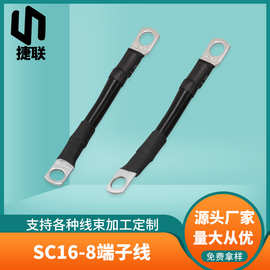 SC16-8端子线 铜鼻子8mm冷压圆环线新能源线蓄电池汽车电瓶连接线