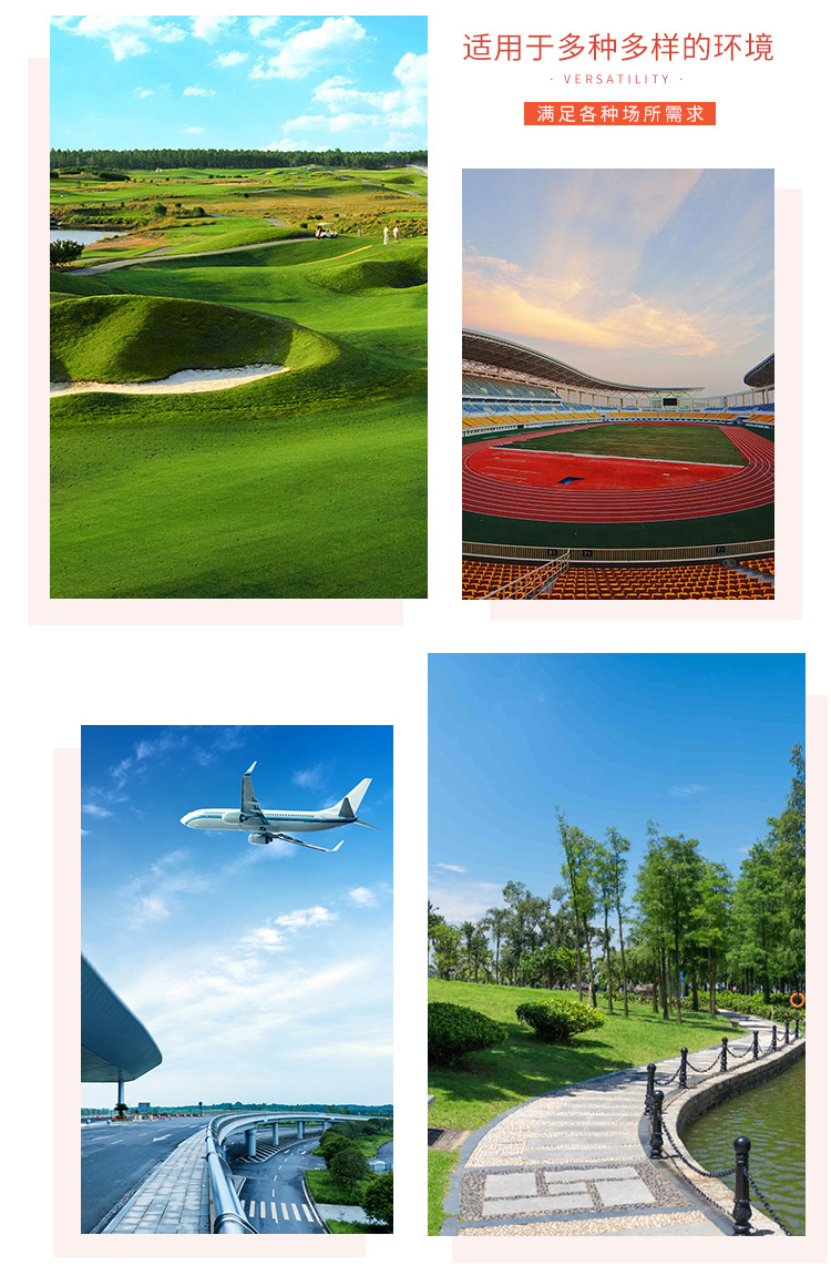 Golf Cart Tourist Area Tour Hotel Homestay Shutter Patrol Off-road 8-seat Electric Sightseeing Car