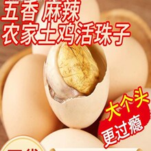 ��������������ϲ�������r�u�����u��ë�u��䓻�ɢ�B���P���b