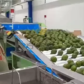 食用油加工;休闲食品加工;滤油机