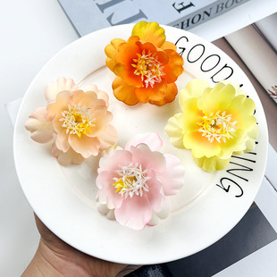 ���滨��̖�ѻ����^ �ٔ������^�����diy���϶Y�е���������仨