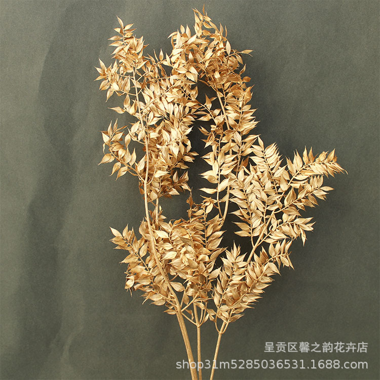 [약 55그램] 골드