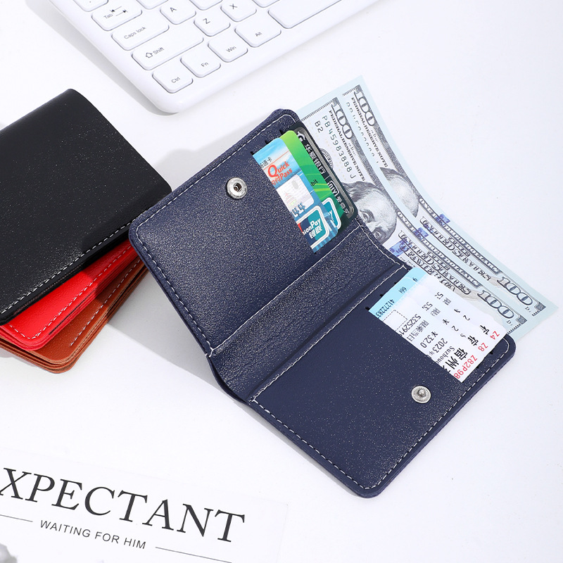 Business passport holder RFID protected document and card storage bag
