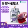 不老种植自有袋装果汁