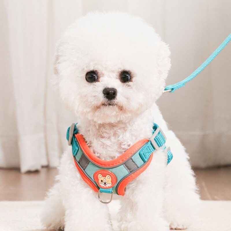 狗狗牵引绳背心式幼犬小型犬胸背带比熊泰迪博美遛狗绳小狗链子|undefined