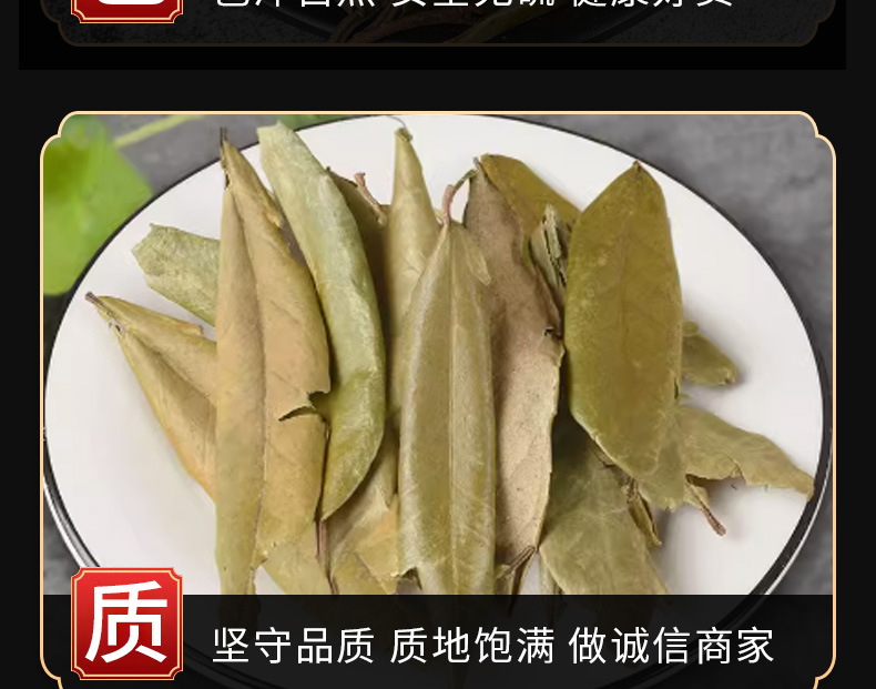 Hu Tui Zi Ye (Elaeagnus pungens Leaf) — Dried TCM Herb Leaf, 500g specifications