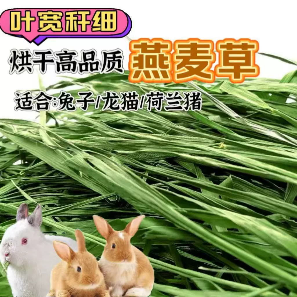 Сушеная трава пшеницы 2025 года для кроликов, шиншилл, морских свинок, корм для кроликов, люцерна с шипами, пшеничная трава