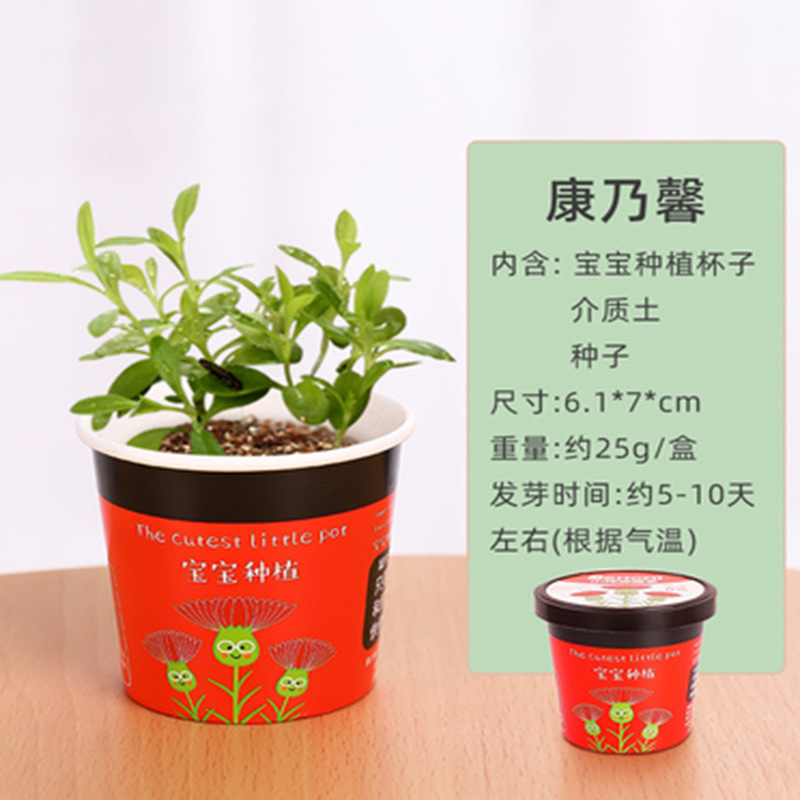 Niños plantan pequeños jardines de infantes fresas plantas de mesa mini caja ciega diy verde juguetes puestos al por mayor image 19