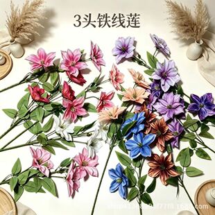 3�^��ӡ�F��ɏ���滨��Y��ӆ�����b����Ż�·�� �� �F؛ ���l