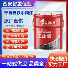 环氧云铁中间漆 厚浆型钢结构涂料 防腐防锈铁红底漆 高架桥翻新