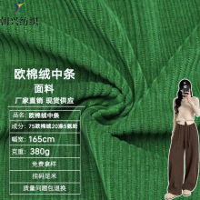 雪尼尔欧棉绒中条面料380g 高档阔腿裤衬衣外套裙子服装西装布料