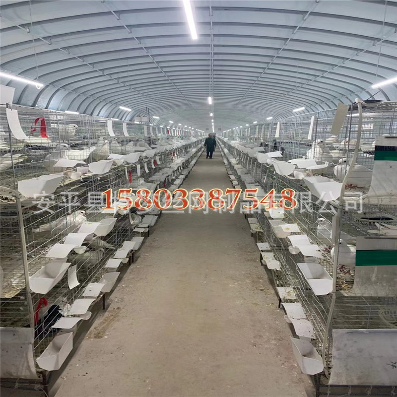 现货供应横拉门设计三层十二位鸽笼 加粗立式镀锌鸽笼 批发价格