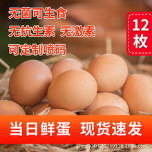 可生食無菌鮮雞蛋紅心新鮮富硒可溏心日本壽喜鍋日料12枚