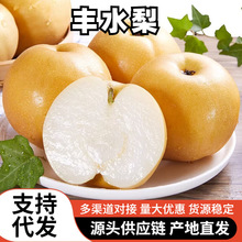 �ӱ��Sˮ�����r9������ˮ����������10�SƤ�������ִ�ѩ����]