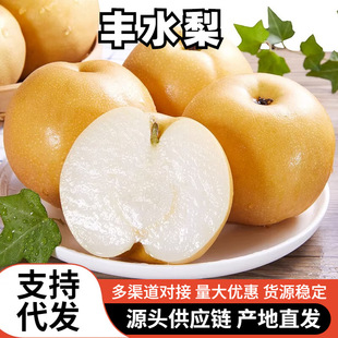 �ӱ��Sˮ�����r9������ˮ����������10�SƤ�������ִ�ѩ����]