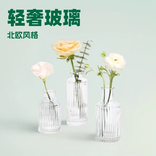 定制复古竖条纹浮雕透明法式玻璃花瓶ins风迷你透明家居摆件插花