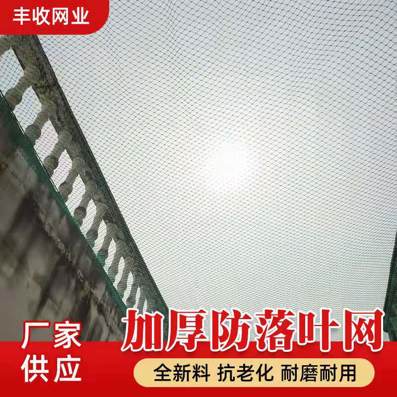 白色尼龙网养殖防护网围网果园防鸟网尼龙丝网韧性好批发防鸟网