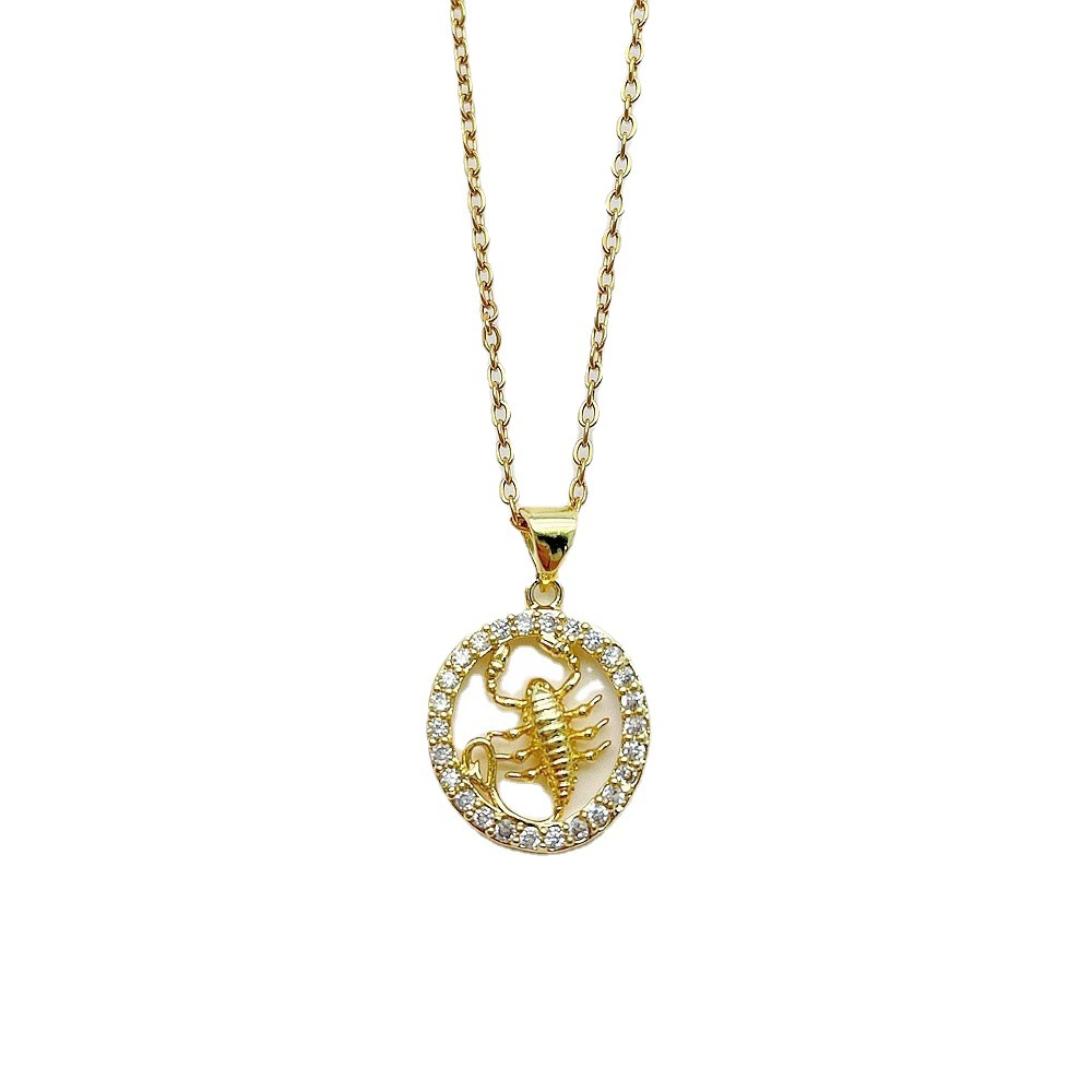 Zodiac signs stainless steel, chain, fashionable necklace, universal copper pendant, European style, micro incrustation