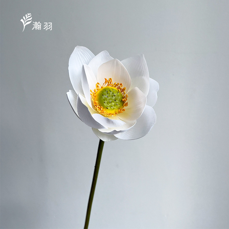 하얀색