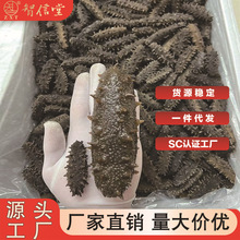智信堂大连纯淡干辽刺参干货海参送礼工厂直供商用批发批发礼品