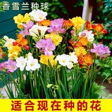 ����ѩ�m�N���B�ɡ������B���ļ��_�����B����̨�r���N�ӝ�ˮ