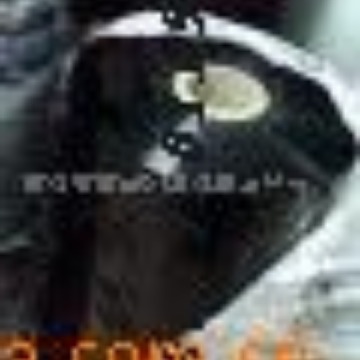 供应黑色PET薄膜