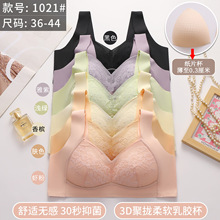 2024少妇内衣固定背心式宽肩带无痕聚拢婴儿棉内衣马卡龙色系文胸