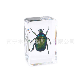 �������x�˱�͸����֬���zϐ�Ӻ���֩����񁆿�����������[��