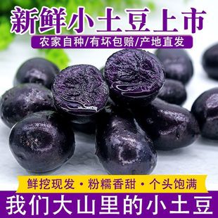 �ຣ�خa���r�������ڽ�����ɫ���R��������С��������������