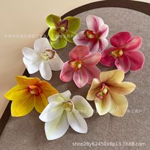 ޥ�m���^ 3D��ӡ���滨�^С�t���W�t�m���^��ֶY��c�b����l