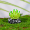 Jewelry, creative small pot, plant lamp, cactus, wholesale