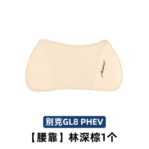 Headrest Pillows, and Original Accessories for Avia - gl8phev-original-lumbar-support-forest-brown-lumbar-support-x-1-no-specifications