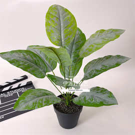 仿真绿植手感胶布玉兰叶子北欧风盆栽假树园林绿化装饰婚庆植物墙