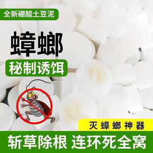 ����������۲͏d����ș��ɰ����ȫһ偶ˏN�����Ü����