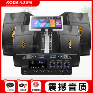 Koda Professional Conference Audio Set Home Karaoke Speaker Home Karaoke Machine Complete Set