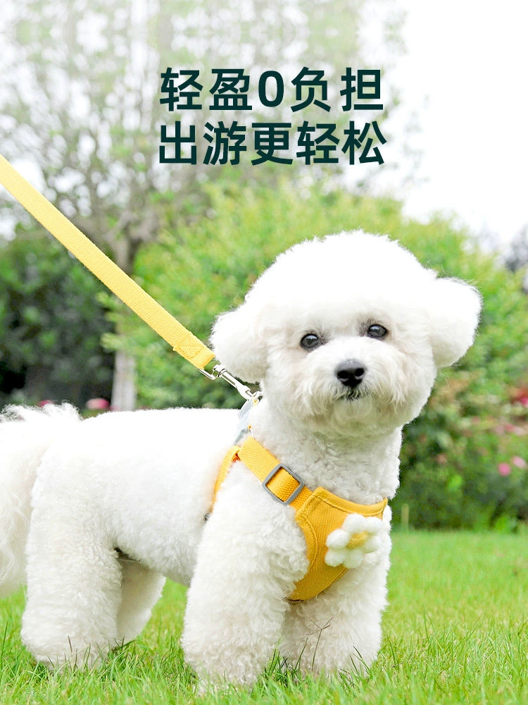 Поводок для собак, жилет типа, маленький размер, собаки Тедди Бишон, померанский шпиц, прогулочная веревка для щенков, шлейка для щенков, веревка для собак