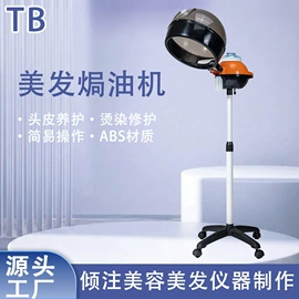 其他美容仪器;美容喷雾仪;焗油帽