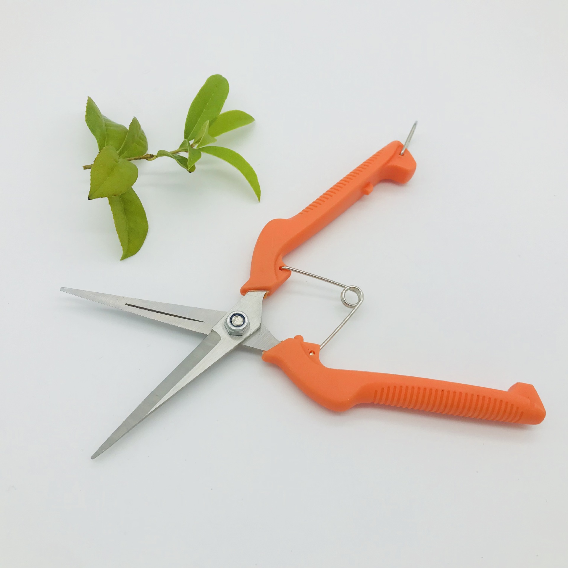 不锈钢橡塑手柄树枝剪果园剪花园剪稀果剪盆栽剪园林工具工厂批发